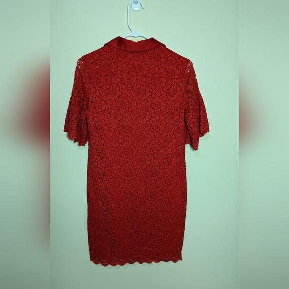 Collared dress - Picture 2 of 3